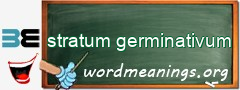 WordMeaning blackboard for stratum germinativum